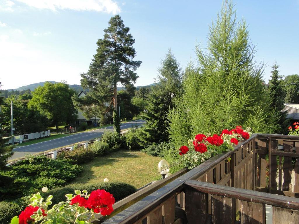 Villa Zerotin Penzion Bed & Breakfast Велке Лосины Экстерьер фото