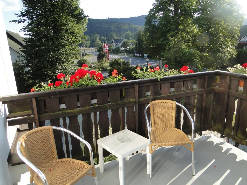 Villa Zerotin Penzion Bed & Breakfast Велке Лосины Экстерьер фото