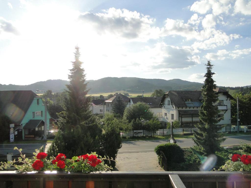 Villa Zerotin Penzion Bed & Breakfast Велке Лосины Экстерьер фото